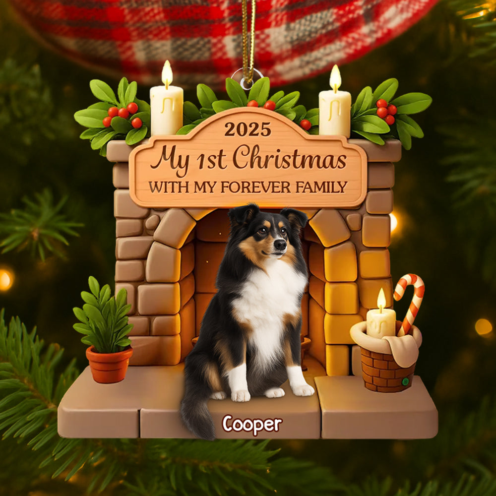 Custom First Christmas Acrylic Ornament - Personalized Christmas Birthday Gifts For Dog Lovers, Dog Dad And Mom - Pawsitively Loved This Christmas Hv01