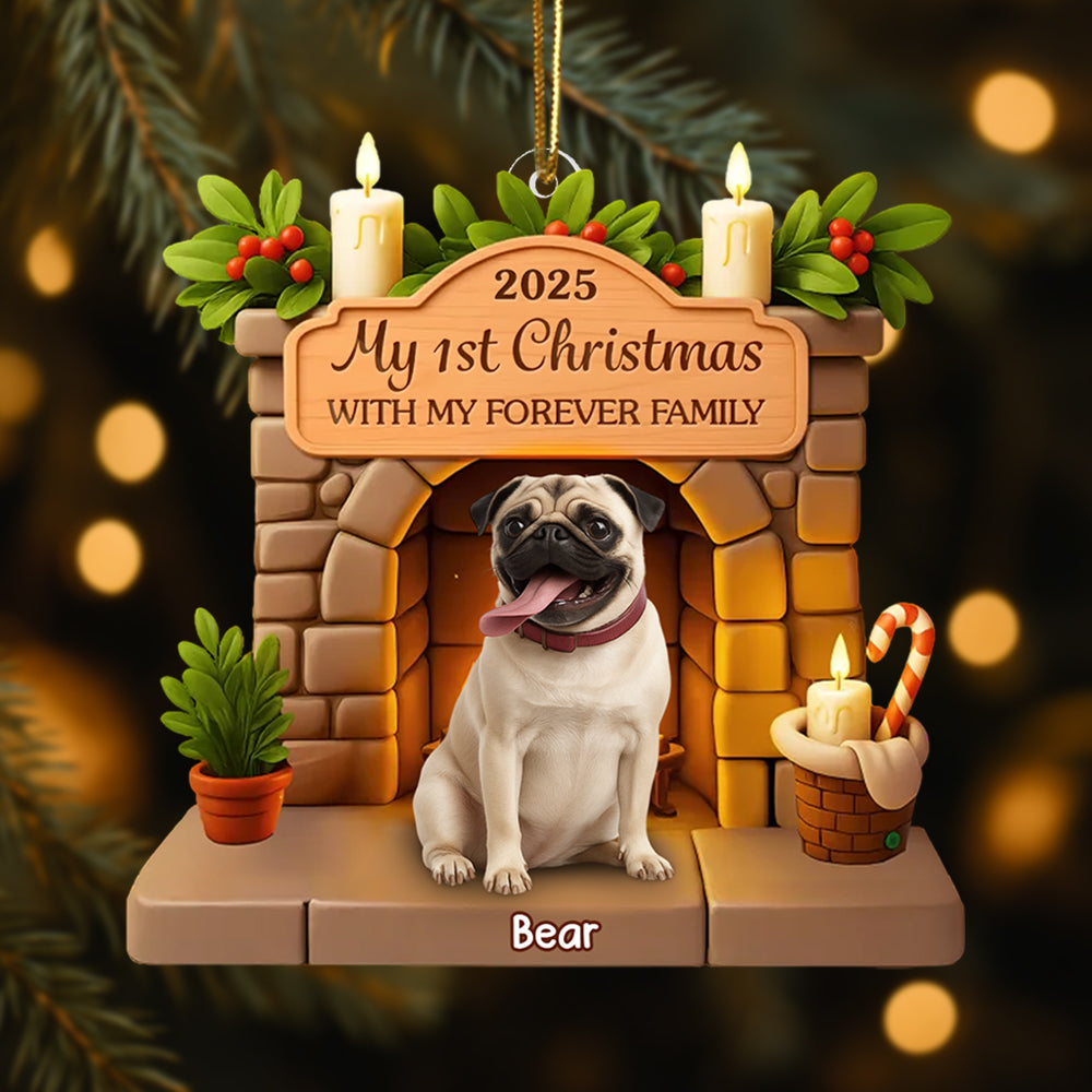 Custom First Christmas Acrylic Ornament - Personalized Christmas Birthday Gifts For Dog Lovers, Dog Dad And Mom - Pawsitively Loved This Christmas Hv01