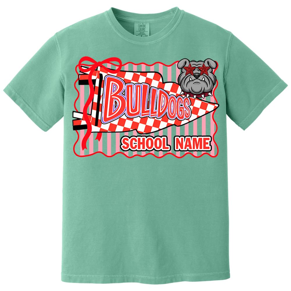 Custom School Mascot, Football Team , School Spirit  L0411 Nh00