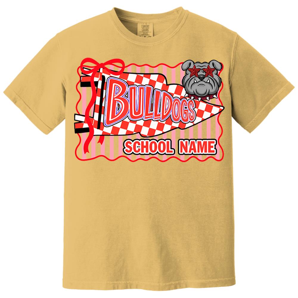 Custom School Mascot, Football Team , School Spirit  L0411 Nh00