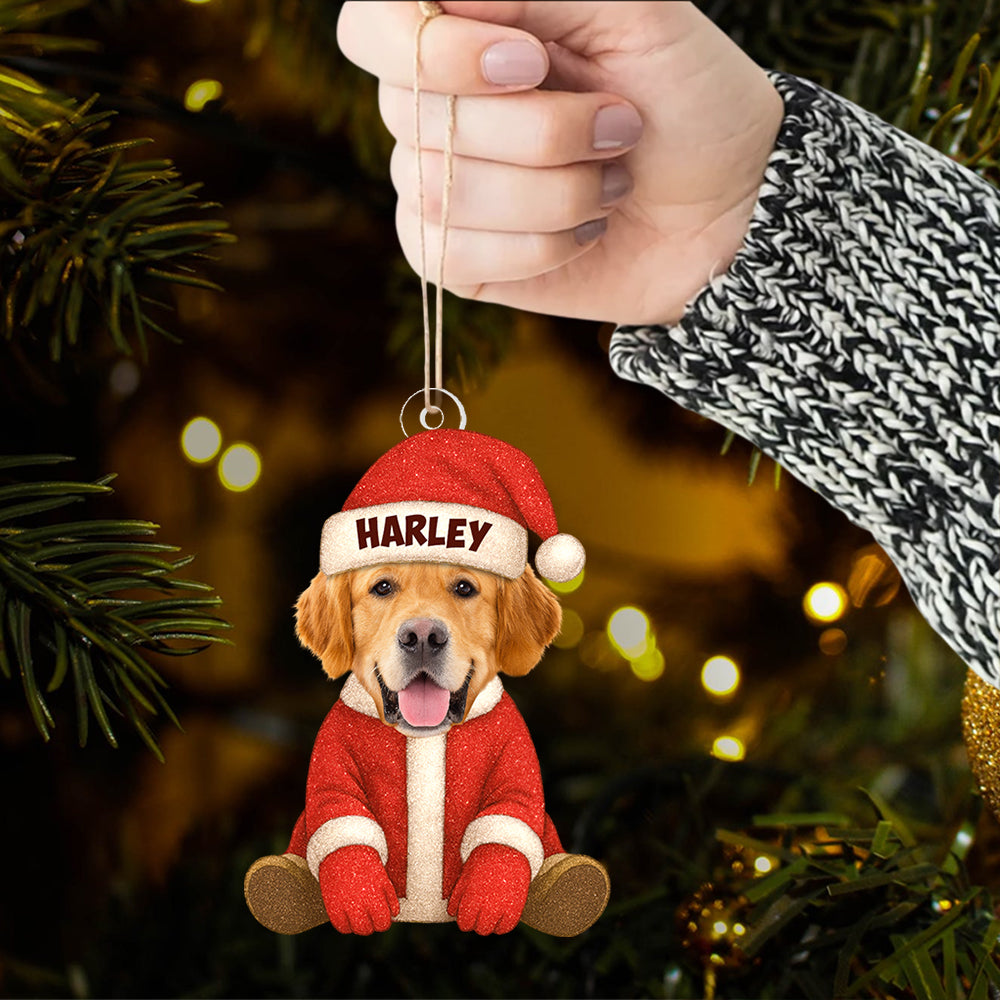 Ornament Christmas Custom Face For Pet Loves Funny - Personalized Acrylic Photo Ornament T1807 Hv01