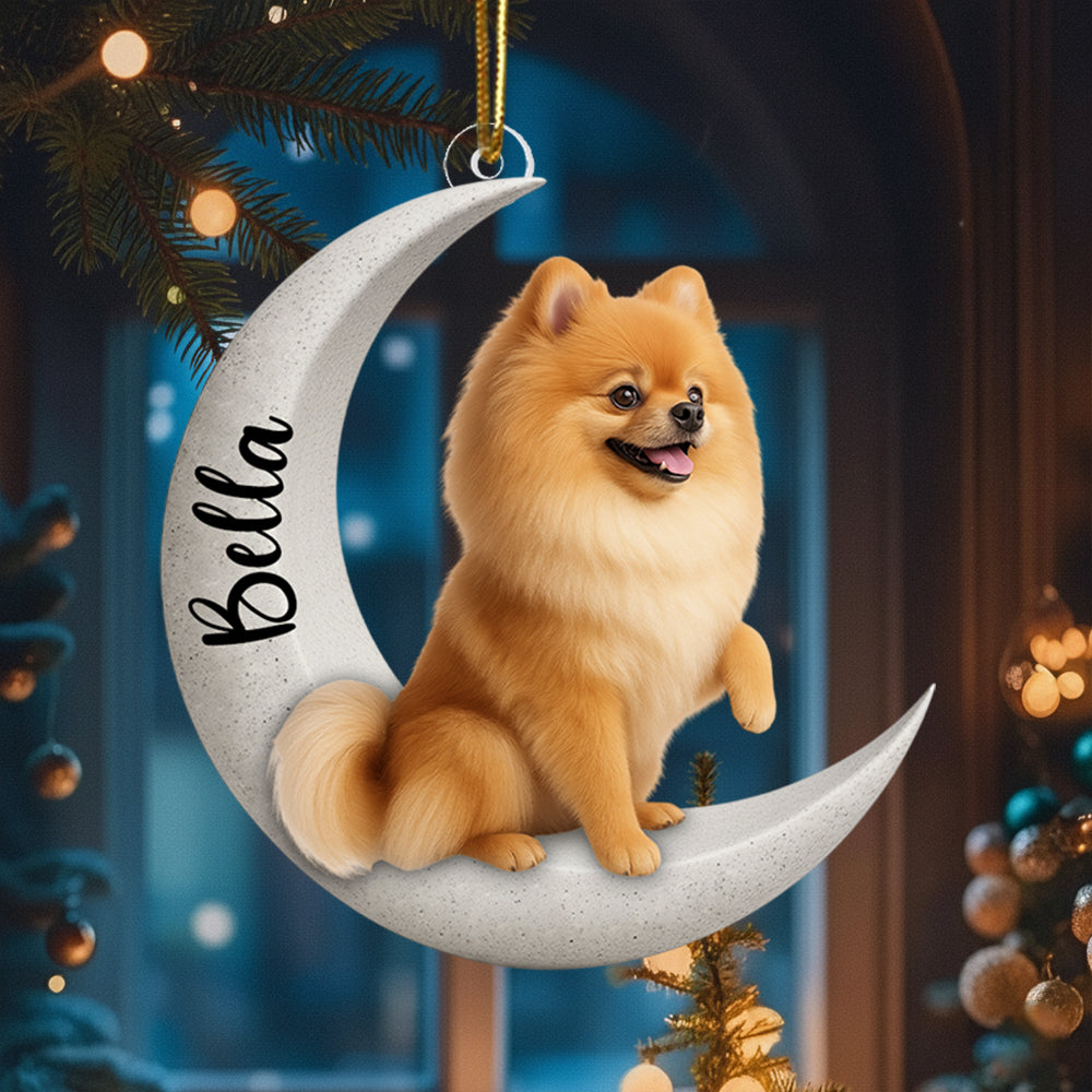 Personalized Dog/ Cat Sit On The Moon Two Sided Ornament For Dog Lovers Hv01