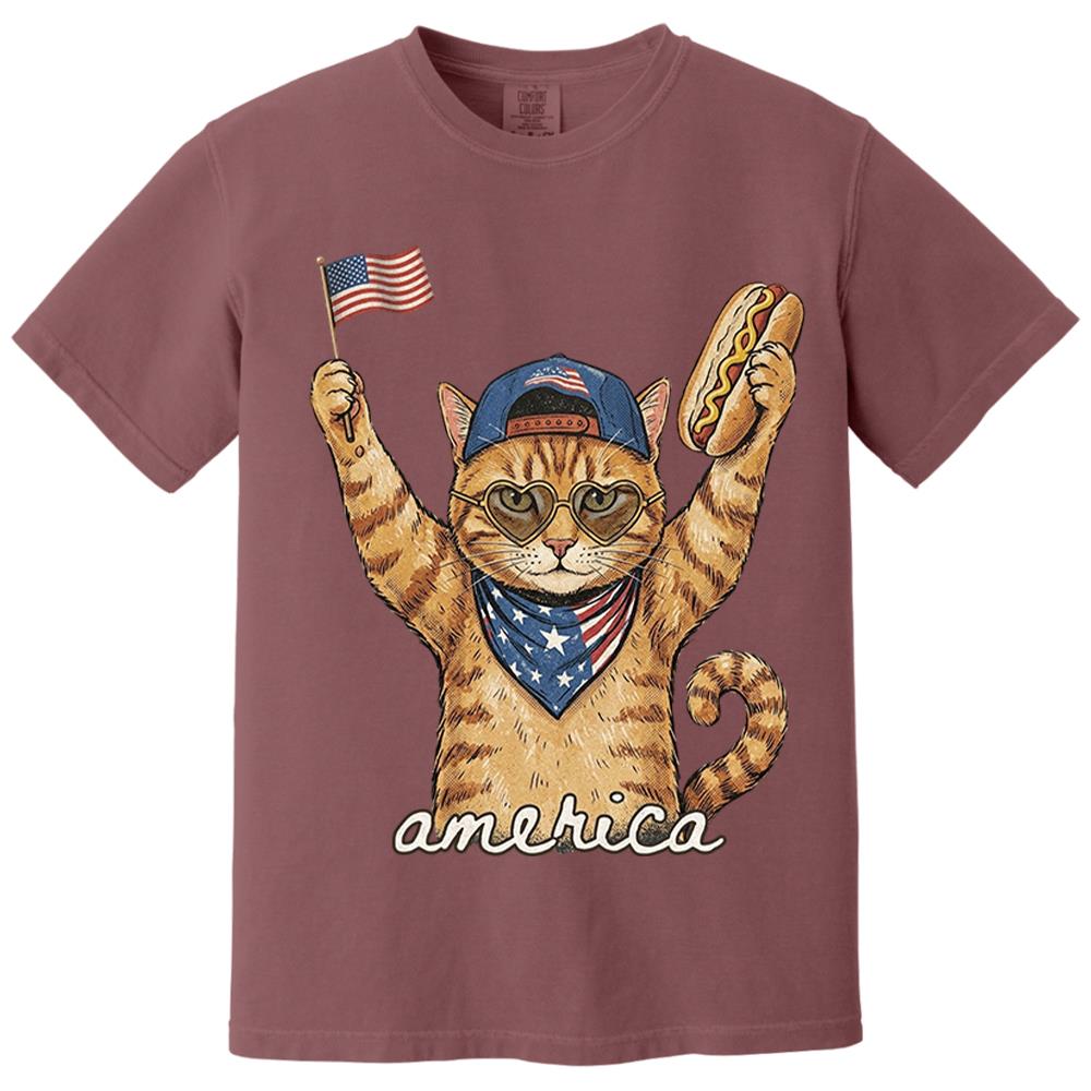 Custom Photo Pet, Patriotic Cat Shirt, Cat Lover Gift, 4th Of July Shirt, America Tee, Independence Day Graphic Nh00